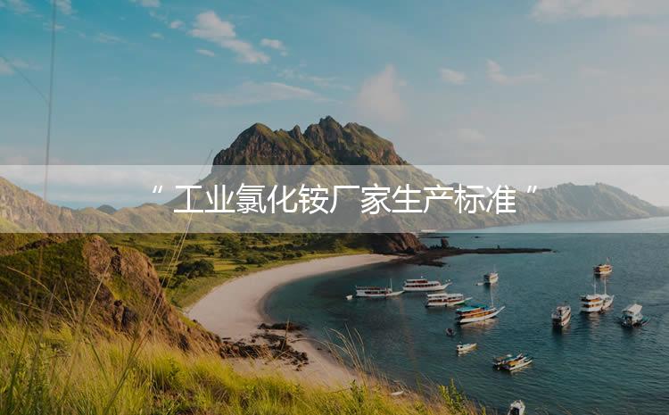 工業(yè)氯化銨廠家生產標準，生產過程進行嚴密的監(jiān)控！
